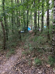 Het paadje tussen de bomen door naar mijn tent